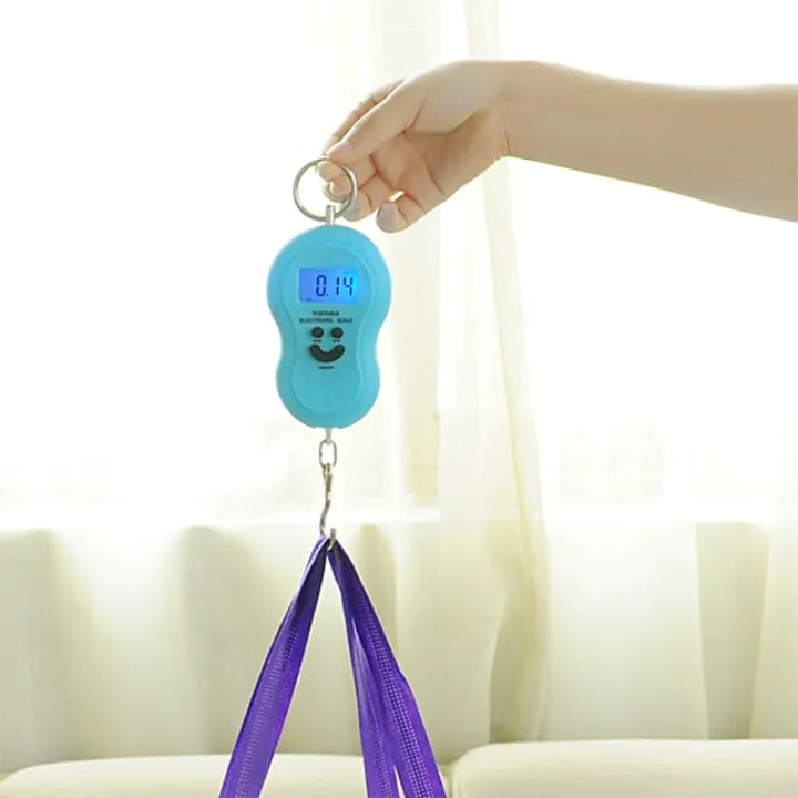 Portable Electronic Digital Hanging Scale